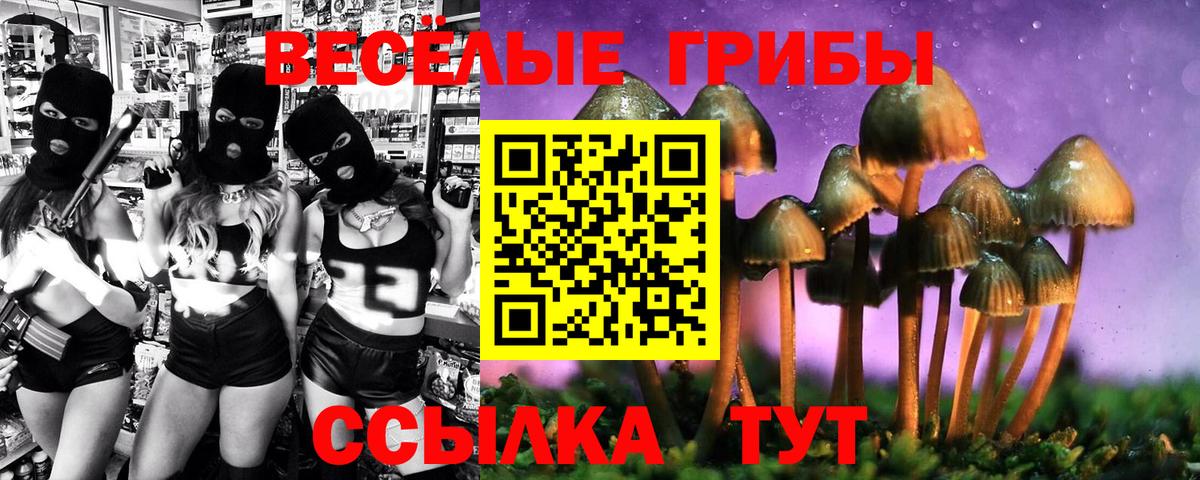 Псилоцибиновые грибы Psilocybine cubensis  Псилоцибиновые грибы MAGIC MUSHROOMS  Йошкар-Ола  Вход с VPN 